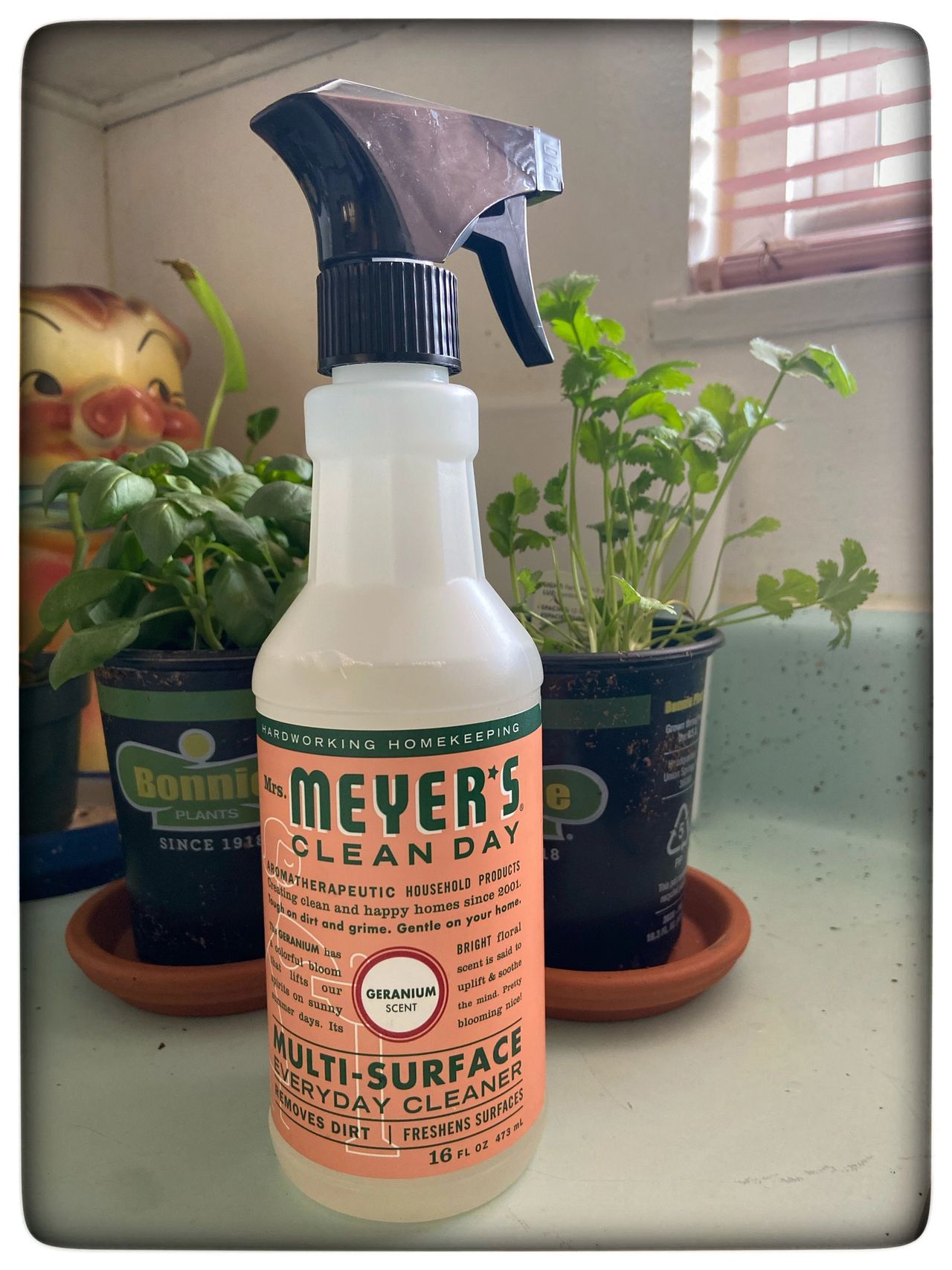 Mrs Meyers Clean Day Muti Surface Everyday Cleaner Geranium Scent 16 F 18 Off