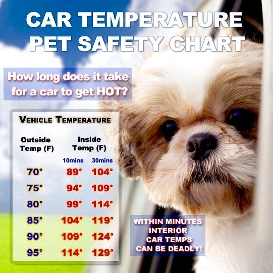 Vehicle Temperature Chart