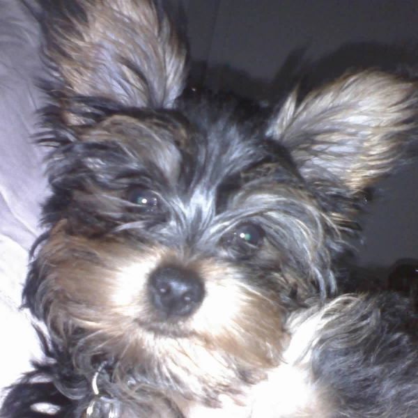 Maxwell at the age of 1