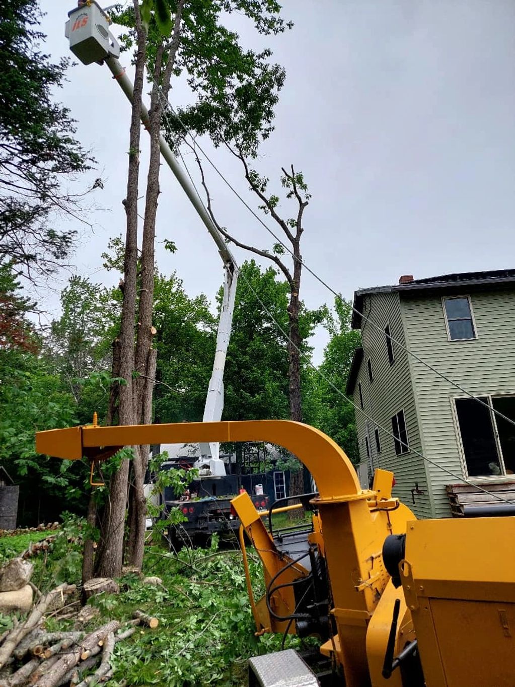 Tree trimming with machinery and truck near a house.