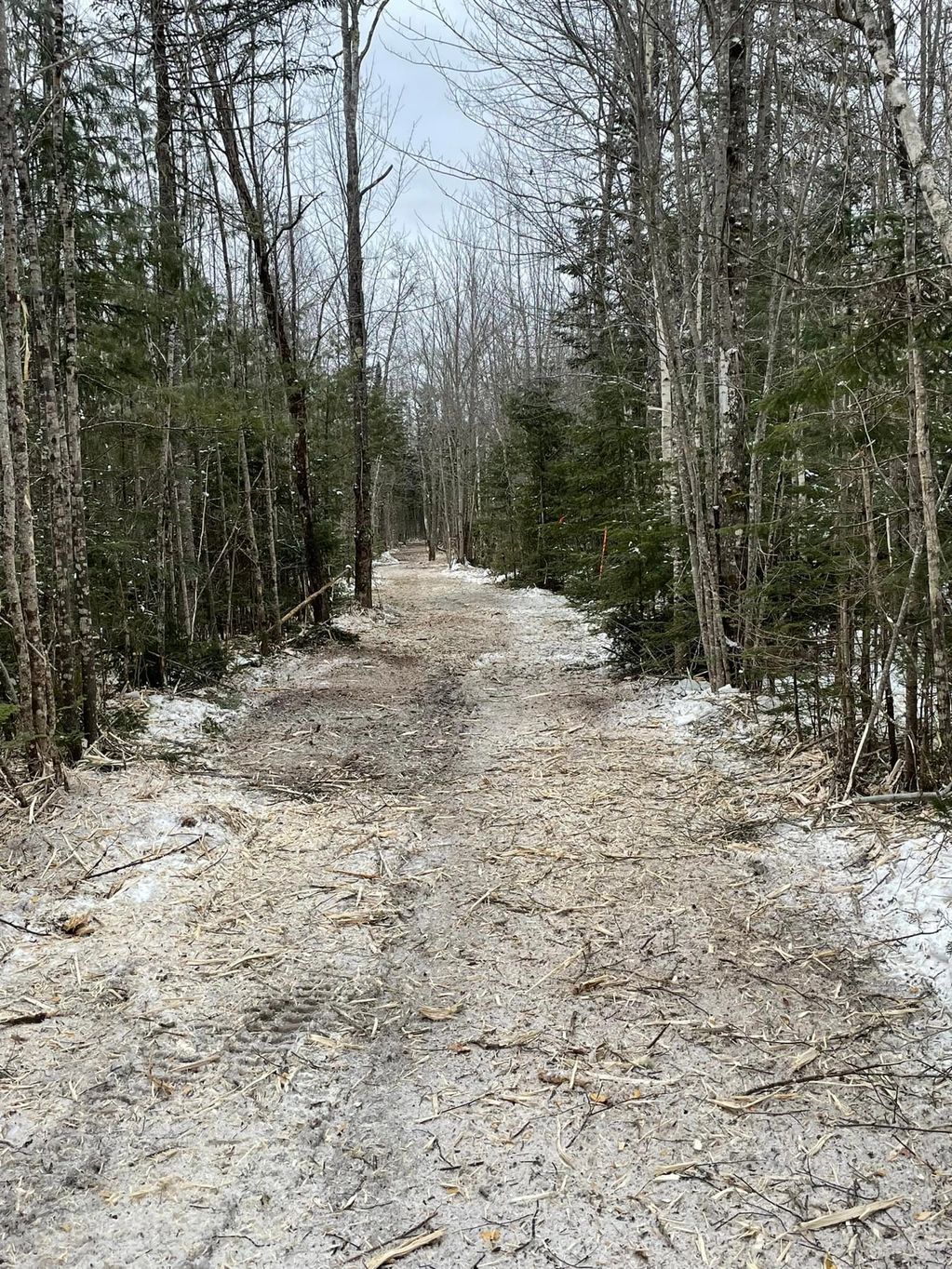 right of way mulching