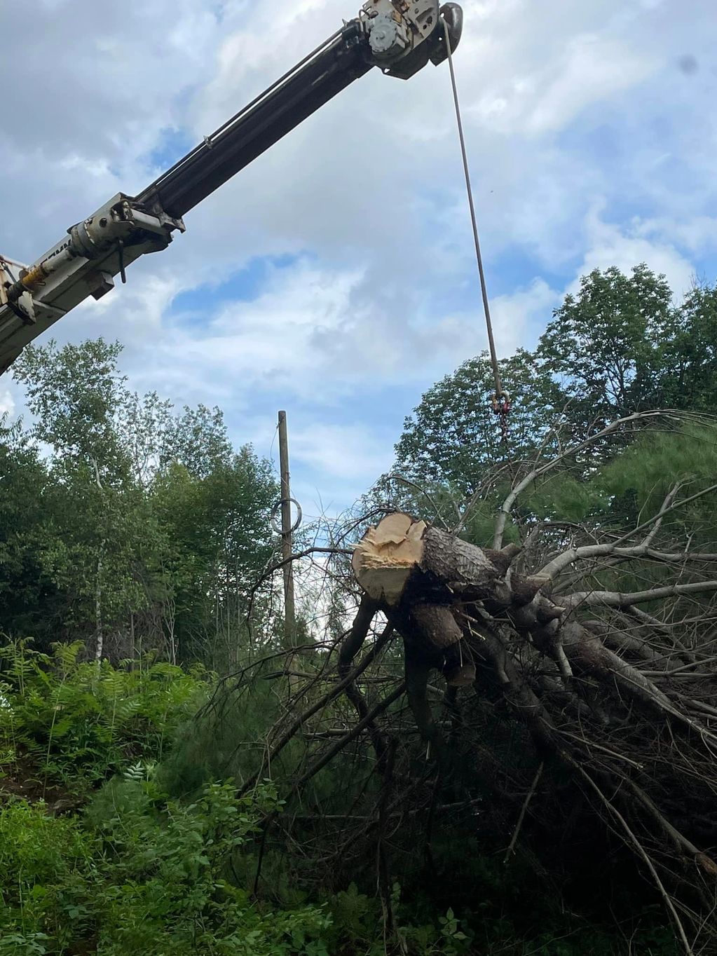 storm restoration
