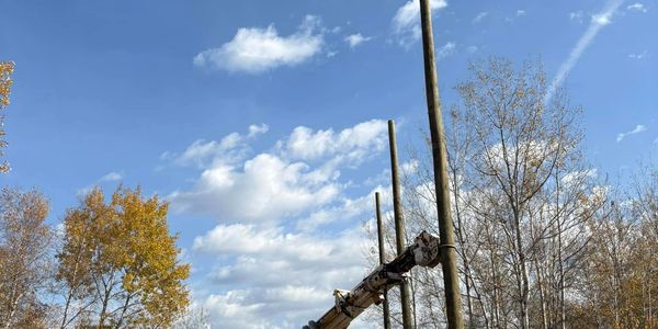 Utility workers installing tall wooden poles on a dirt road under a blue sky.