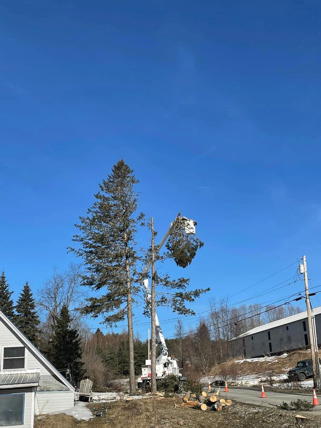 Tree trimming near a house with a clear blue sky.
