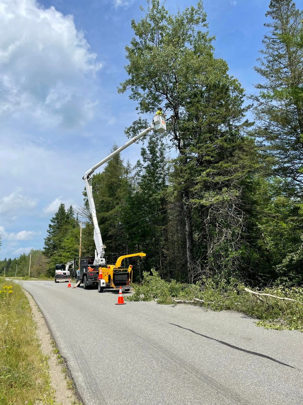 Worker trimming trees from a bucket truck near a road.