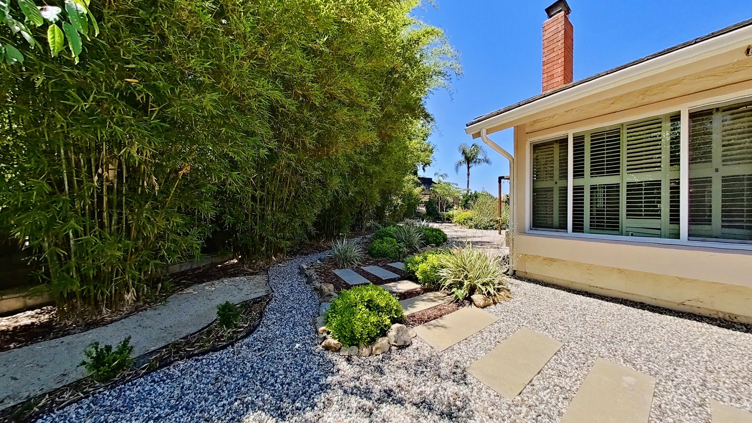 Photography