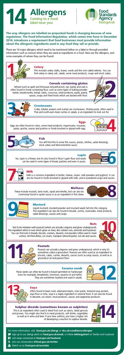 14 Food Allergens