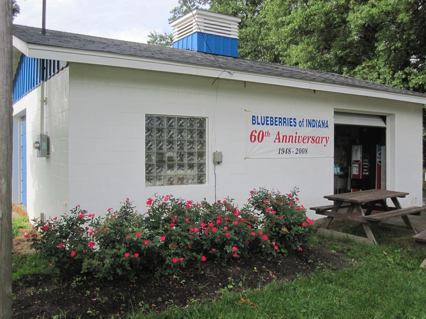 Blueberries of Indiana