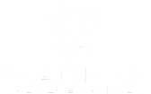 Platinum Auto Spa