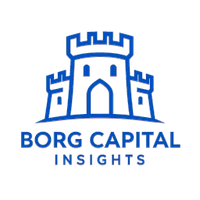 Borg Capital Insights