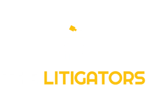 The Litigators