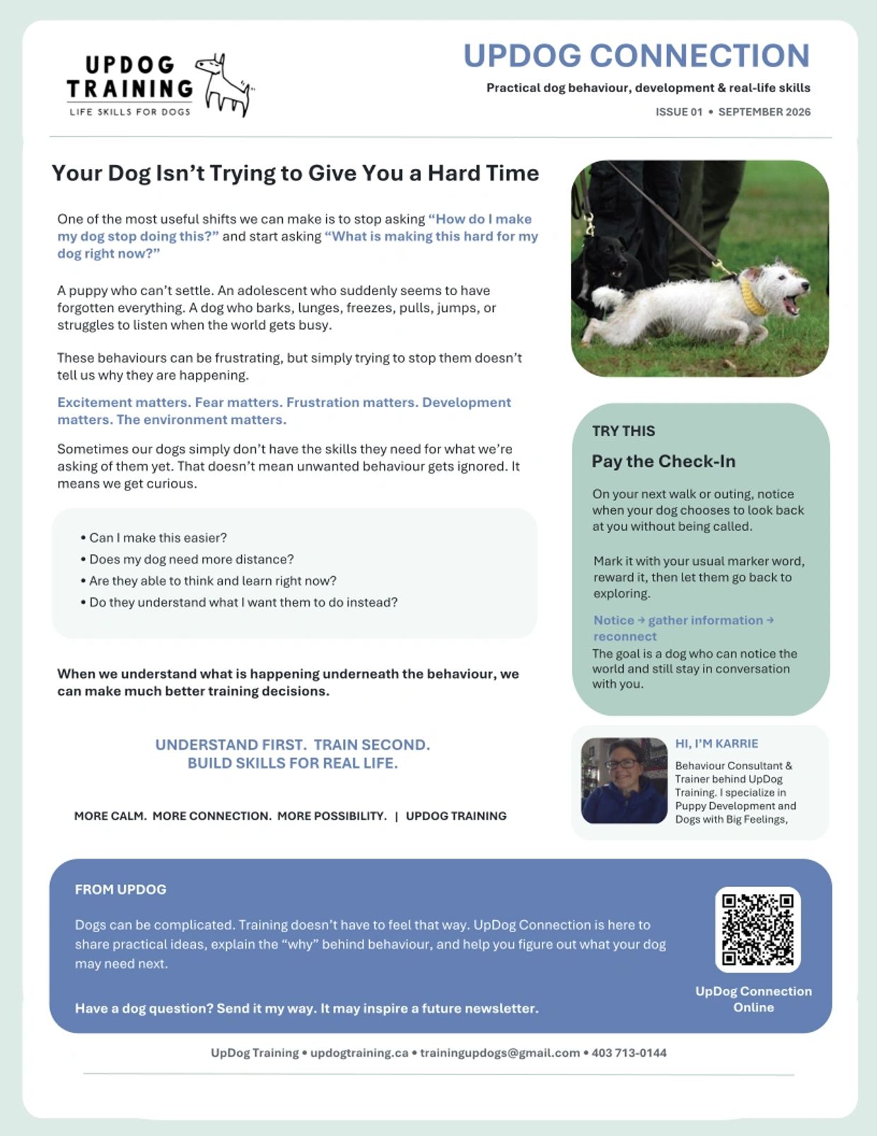 Newsletter on understanding dog behavior and training by UpDog Training.