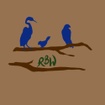 Rare Bird Wellness