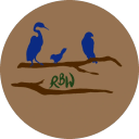 Rare Bird Wellness