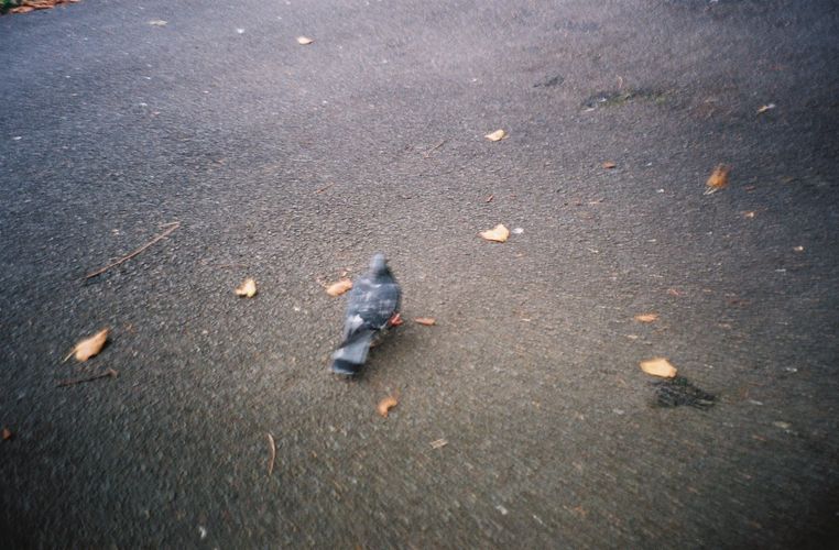 image64