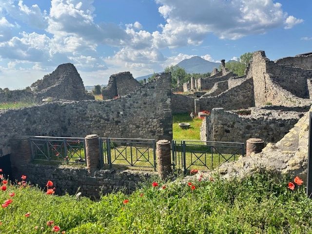 The poppies of Pompeii