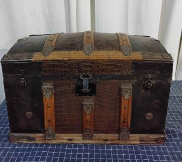 Alligator skin Trunk