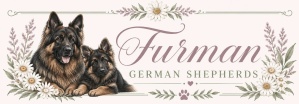 Furman Vom Haus German Shepherds