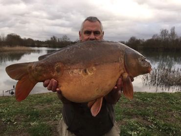 An image of one of our carp caught on Albury & Heron fishing lakes in Cambridgeshire