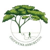 Chifwema Arboretum 