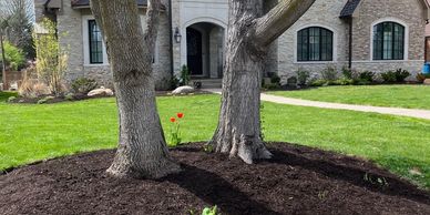 Mulch contractor, edging, Meridian Kessler, Butler Tarkington, Broad Ripple, Indianapolis Northside