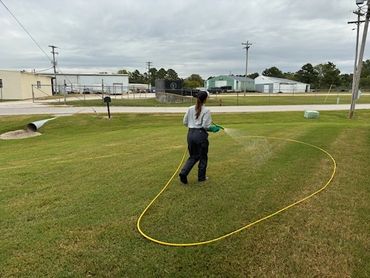 Lawn Treatment