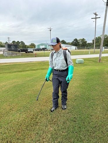 Lawn Treatment