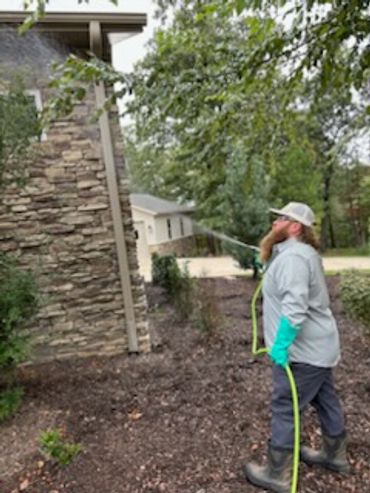 Tree and Shrub Treatment