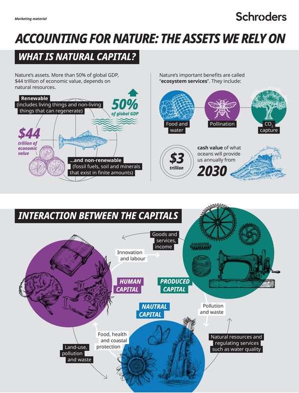Infographic explaining natural capital, its economic value, ecosystem services, and interactions between capitals.