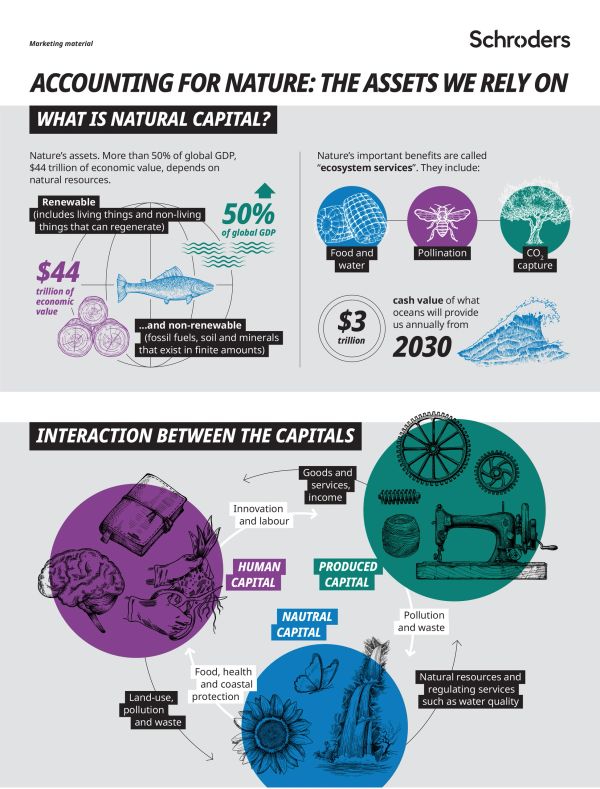 Infographic explaining natural capital, its economic value, ecosystem services, and interactions between capitals.