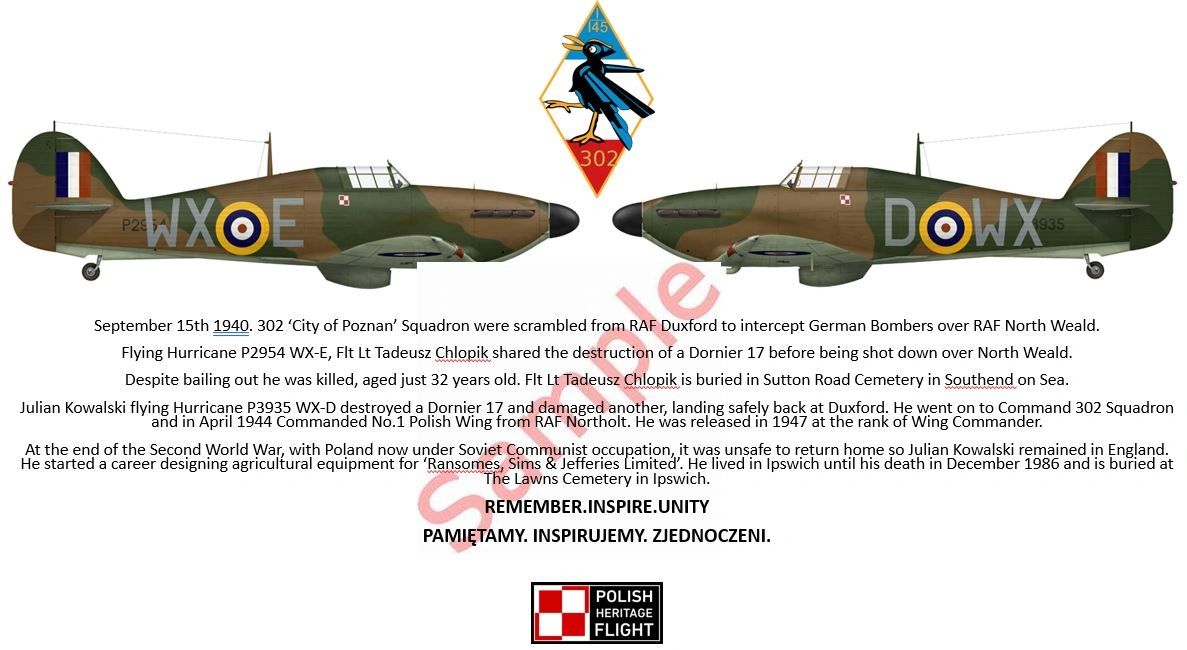 302 Squadron RAF Duxford 15th September 1940 - Battle of Britain
