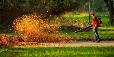 Person using a leaf blower to clear fallen leaves in a park.