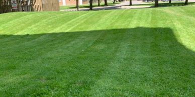 Well-maintained green lawn with striped mowing pattern.