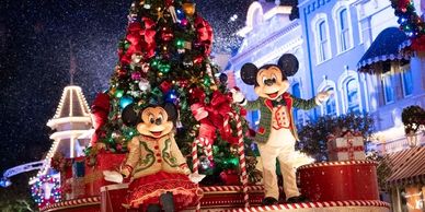 DISNEY SPECIAL EVENTS
