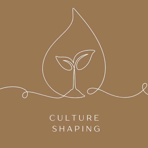 Minimalist drawing of a sprout inside a leaf with 'Culture Shaping' text.