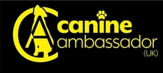 Dogma Training 4 Dogs