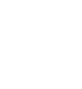 Dogma Training 4 Dogs