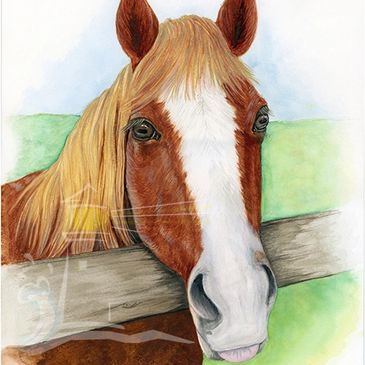 Watercolor painting of a horse with a white stripe, looking over a fence.