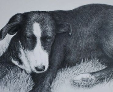 Max - 12x15 graphite on Strathmore  100# Bristol