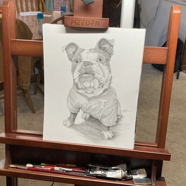 Pencil sketch of a bulldog wearing a Tennessee shirt on an easel indoors.