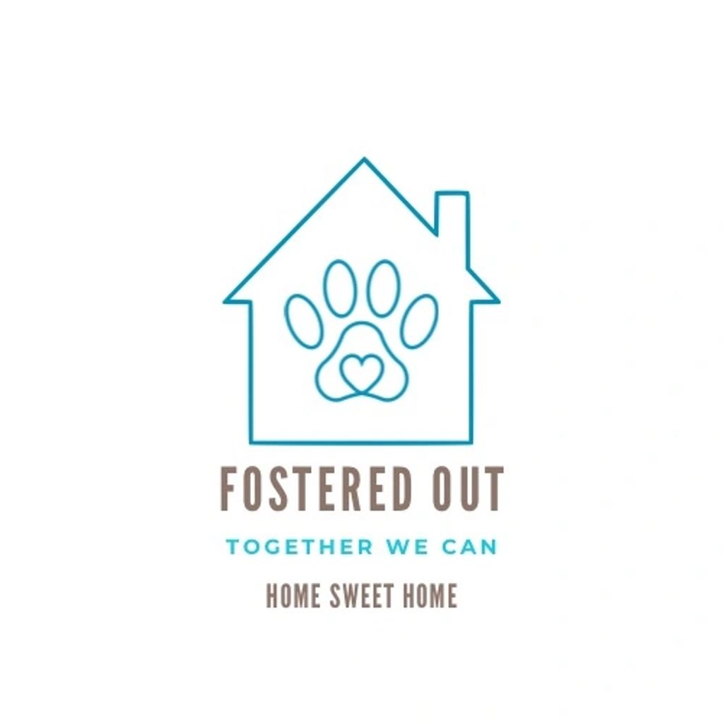 Fostered Out brand logo