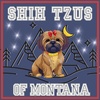 Shih Tzus of Montana