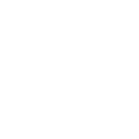 Dixie BBQ