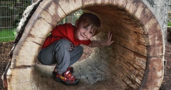 My son at the Zoo, playing in a log at a small playground for kids.