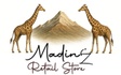 Madiniz Retail Store