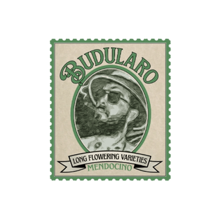 Budularo