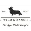 Wild K Ranch Welsh Cardigan Corgis