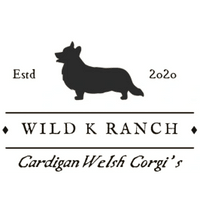 Wild K Ranch Welsh Cardigan Corgis