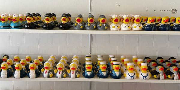 Group of Ducks on Shelves