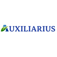 Auxiliarius